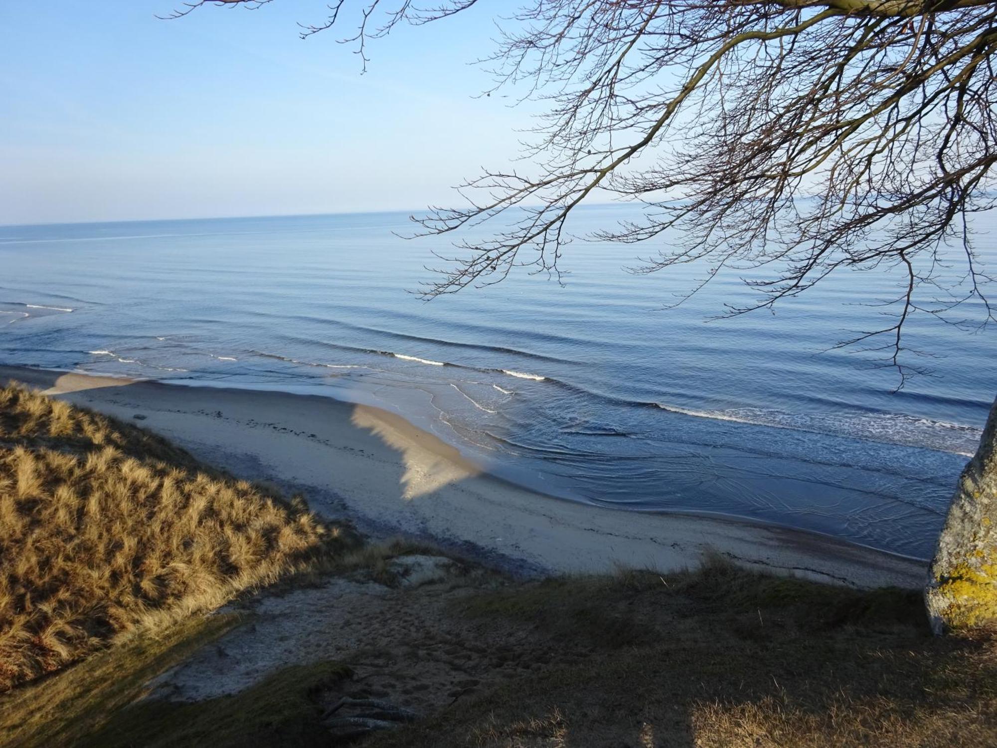 Solrosen I Simrishamn - Oesterlen Екстер'єр фото