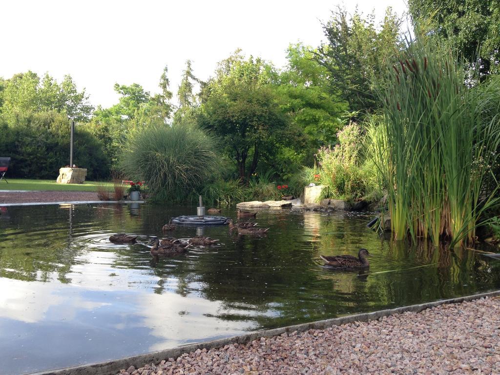 Solrosen I Simrishamn - Oesterlen Екстер'єр фото